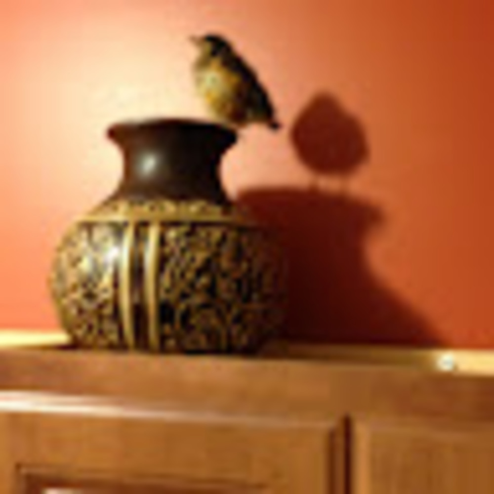 Meet your Posher, Debbie
